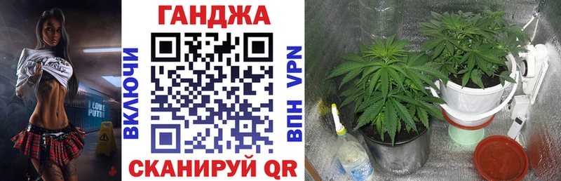 Бошки марихуана Bruce Banner Яхрома